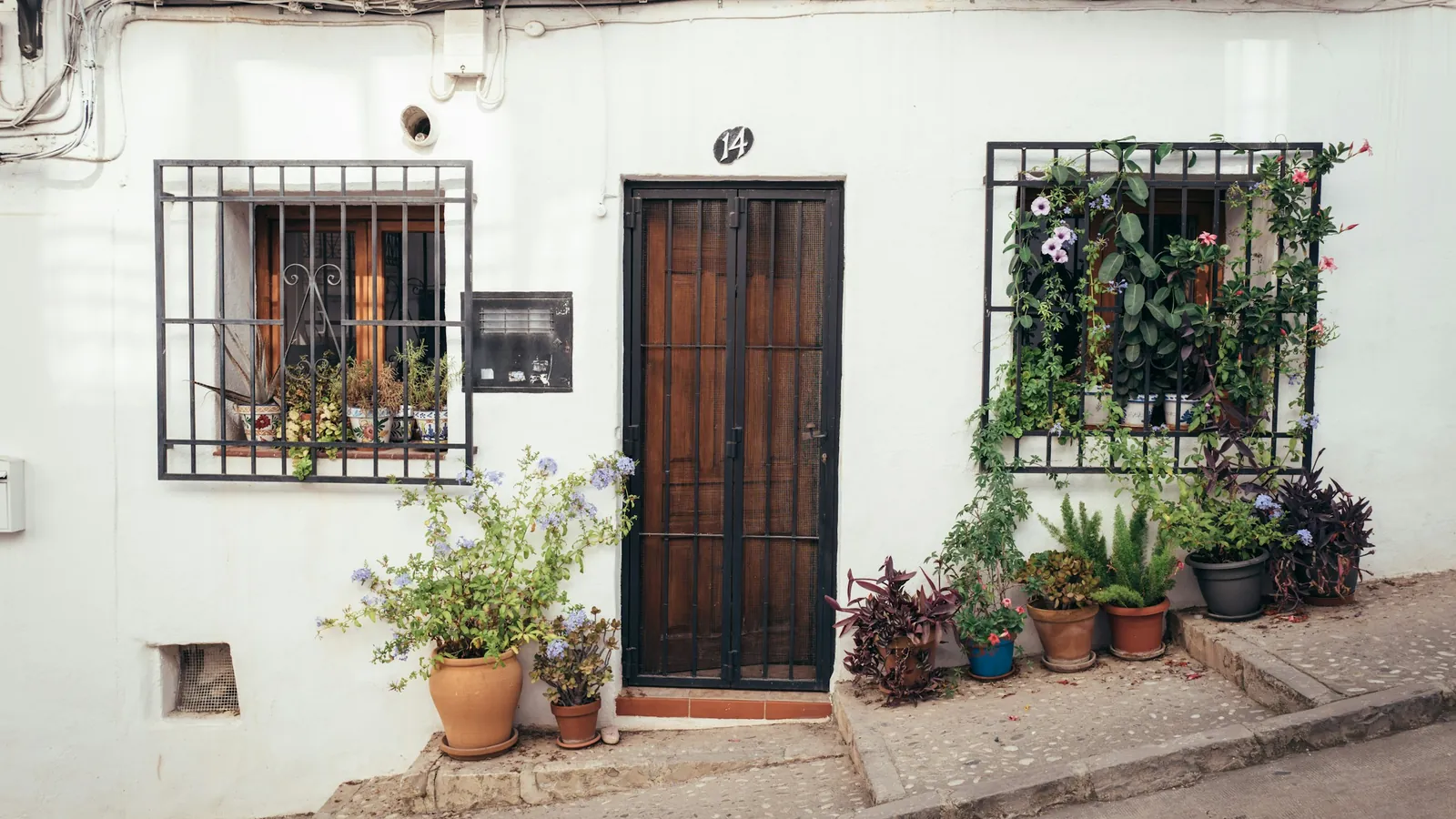Whitewashed house front on a sloping street with a dark wooden door, barred windows and potted plants and flowers along the wall